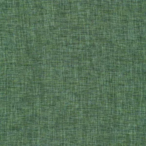 004 Blaze Jungle