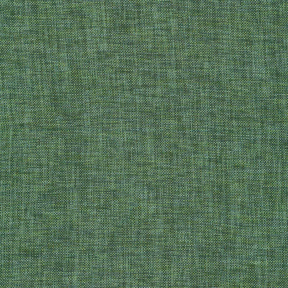 004 Blaze Jungle