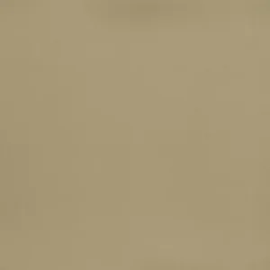Allure Sandstone